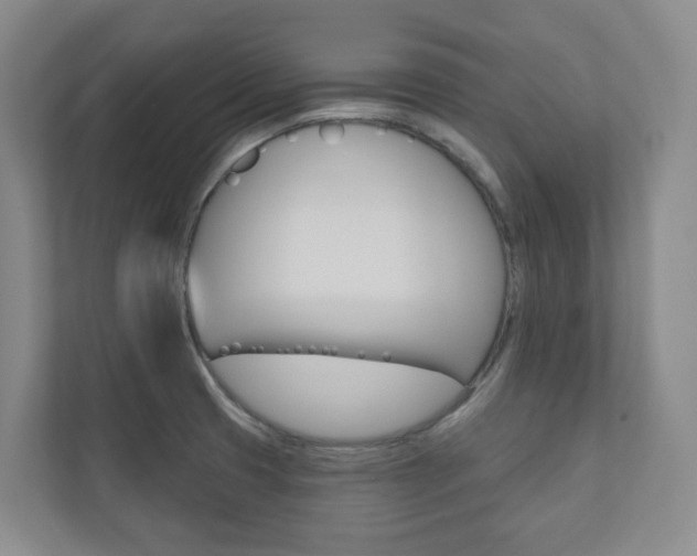 X0000110901425200906180937