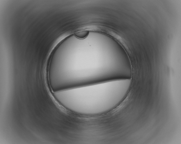 X0000110901426200906180937