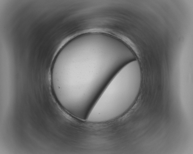 X0000110901428200906180937