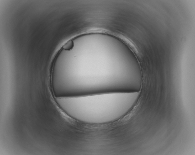 X0000110901430200906180937