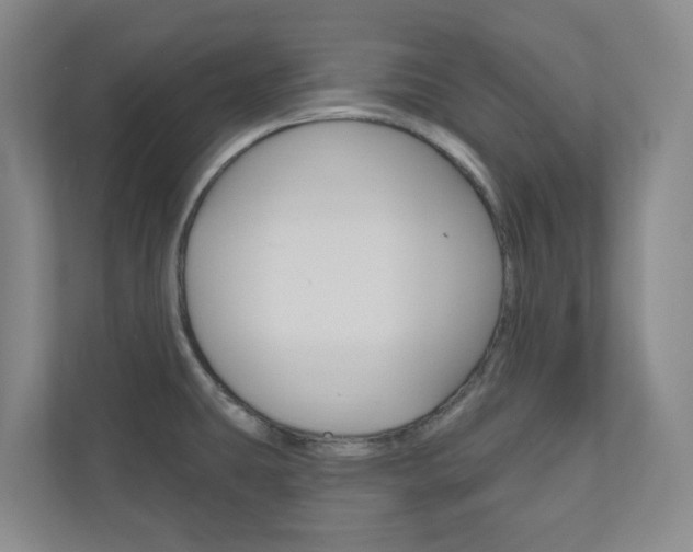 X0000110901431200906180937