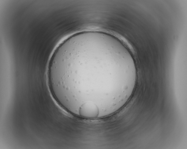 X0000110901432200906180937