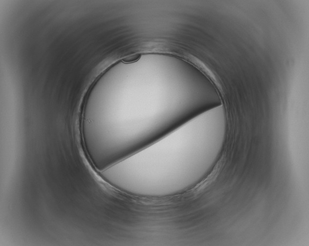 X0000110901434200906180937