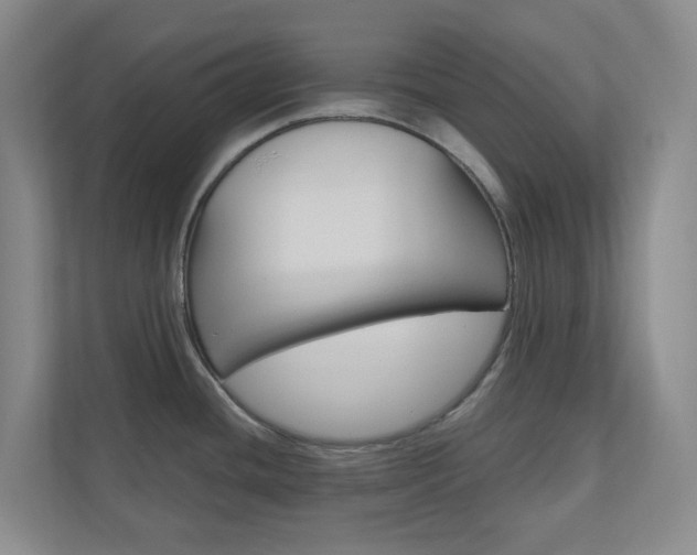 X0000110901436200906180937