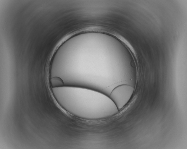 X0000110901437200906180937