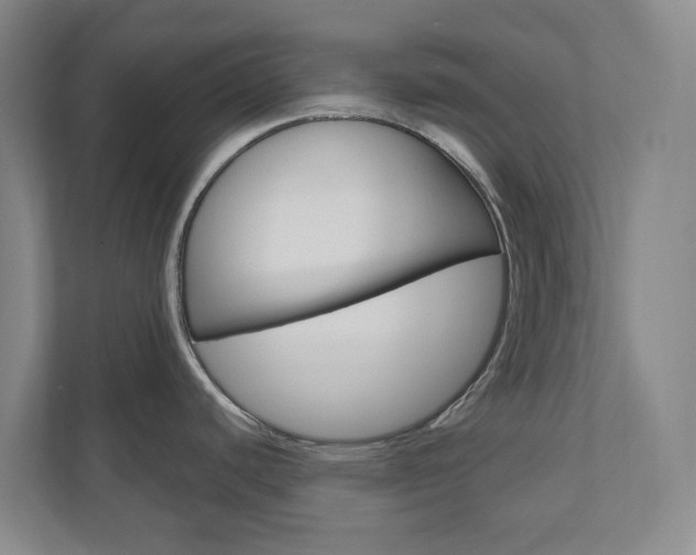 X0000110901440200906180937