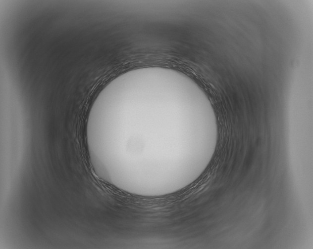 X0000110901441200906180937