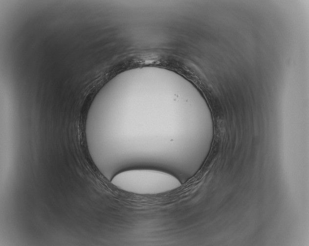 X0000110901442200906180936