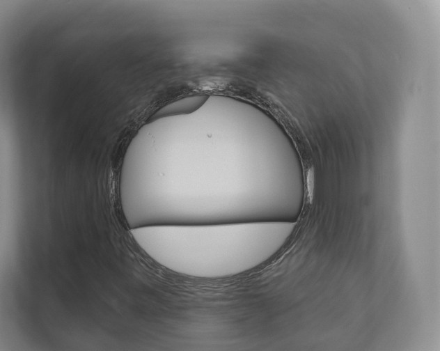 X0000110901443200906180936