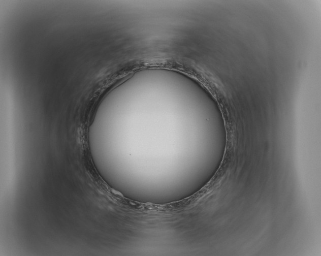 X0000110901445200906180936