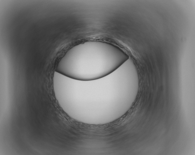 X0000110901447200906180936