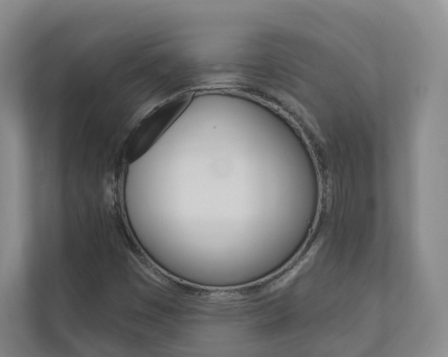 X0000110901449200906180936