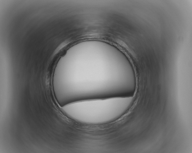 X0000110901450200906180936