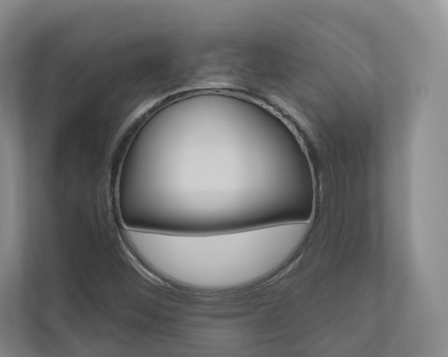 X0000110901452200906180936