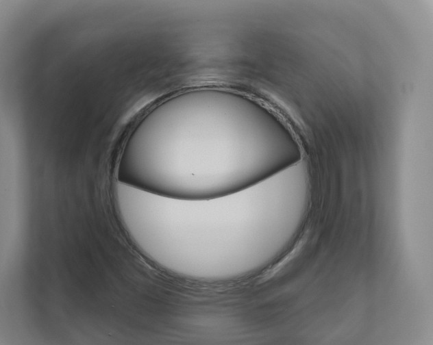 X0000110901453200906180936
