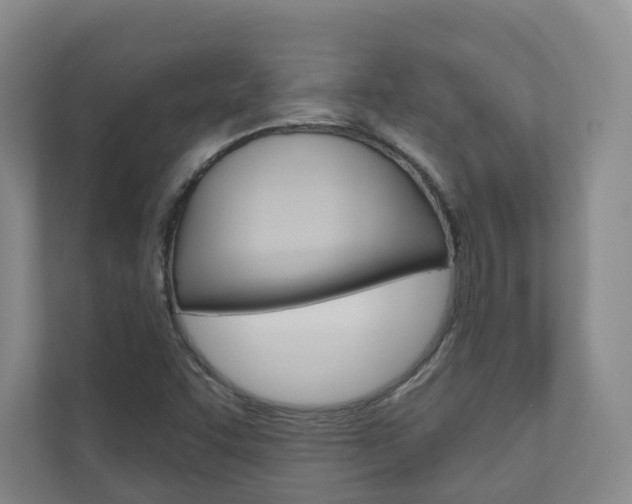 X0000110901455200906180936