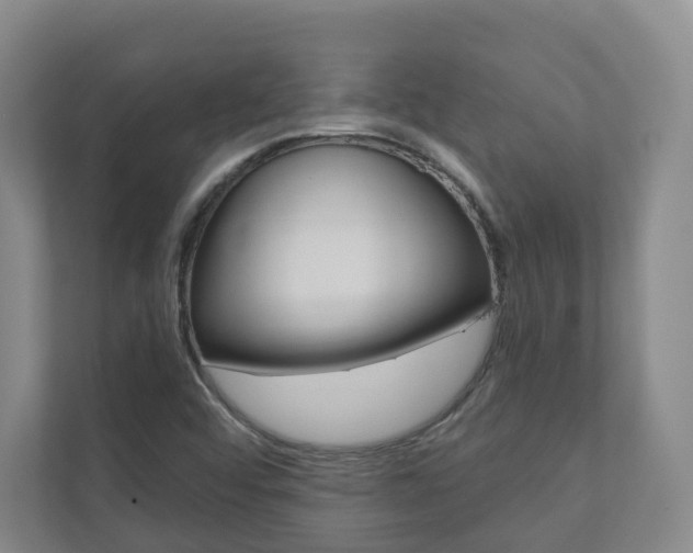 X0000110901456200906180936