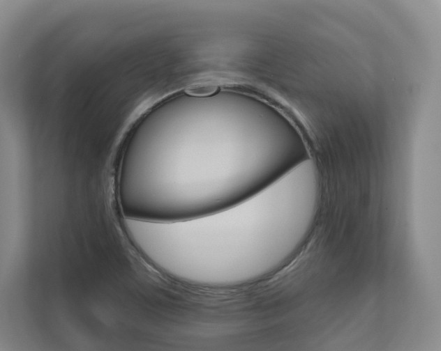 X0000110901459200906180936