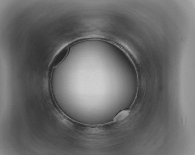 X0000110901460200906180936
