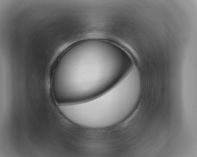 X0000110901461200906180936