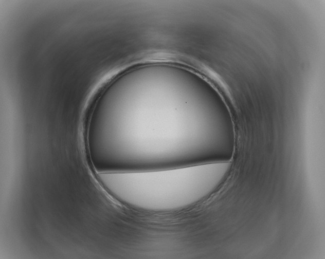 X0000110901464200906180936