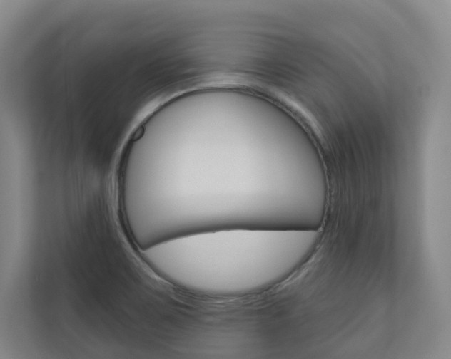 X0000110901467200906180936