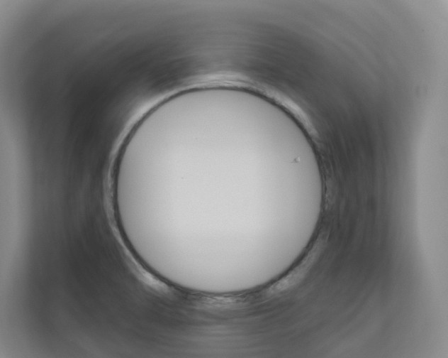 X0000110901470200906180936