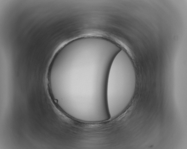 X0000110901471200906180936