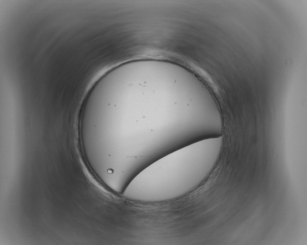 X0000110901479200906180936