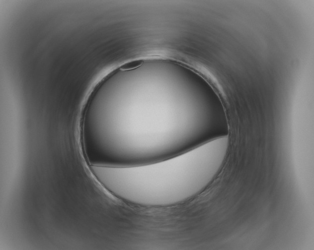 X0000110901480200906180936