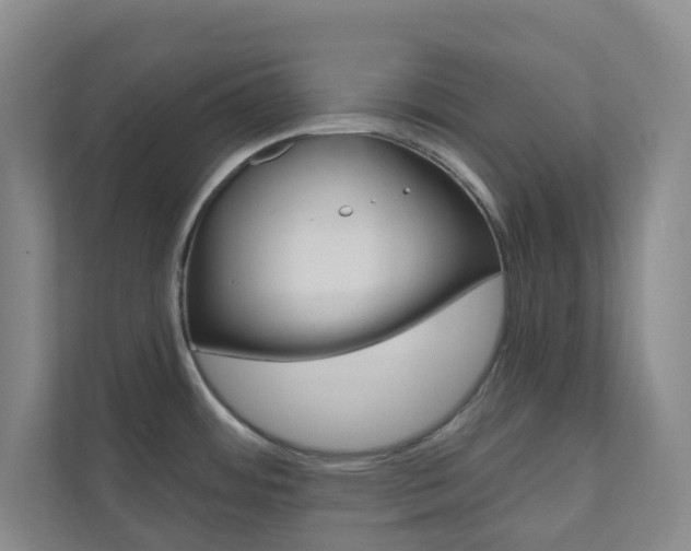 X0000110901484200906180936