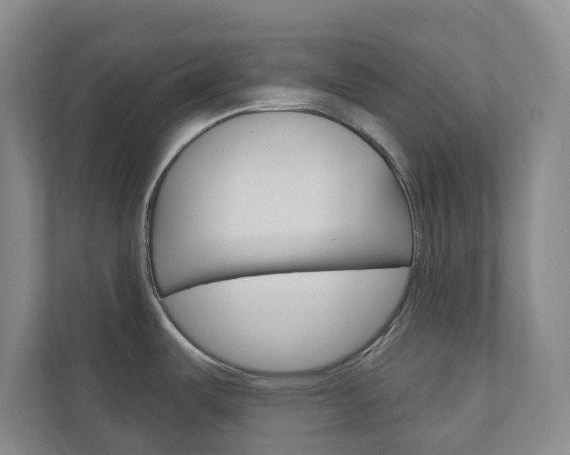 X0000110901487200906180936