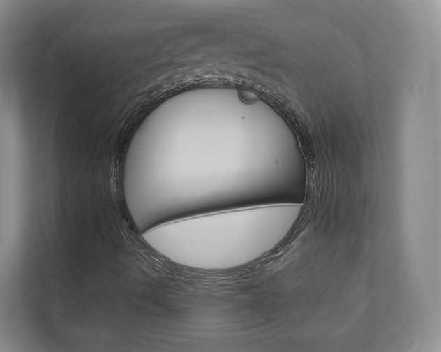 X0000110901490200906180935