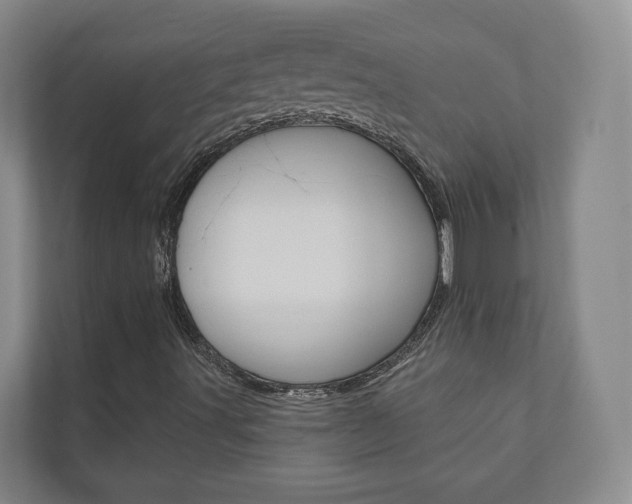 X0000110901491200906180935