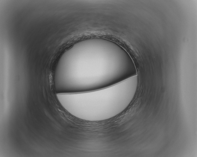 X0000110901492200906180935