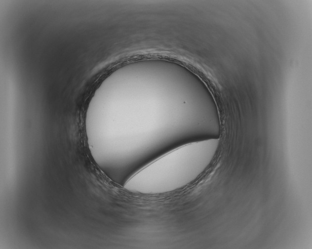 X0000110901494200906180935