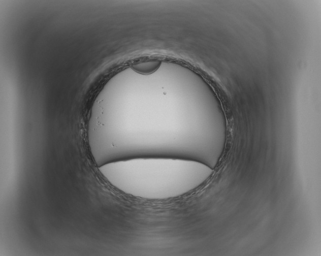 X0000110901495200906180935