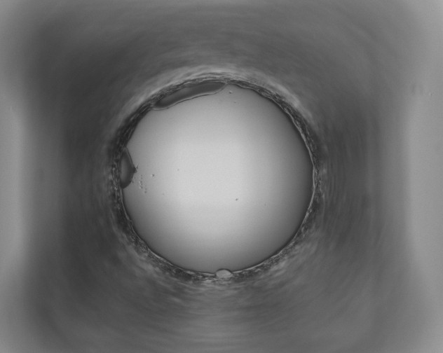 X0000110901496200906180935