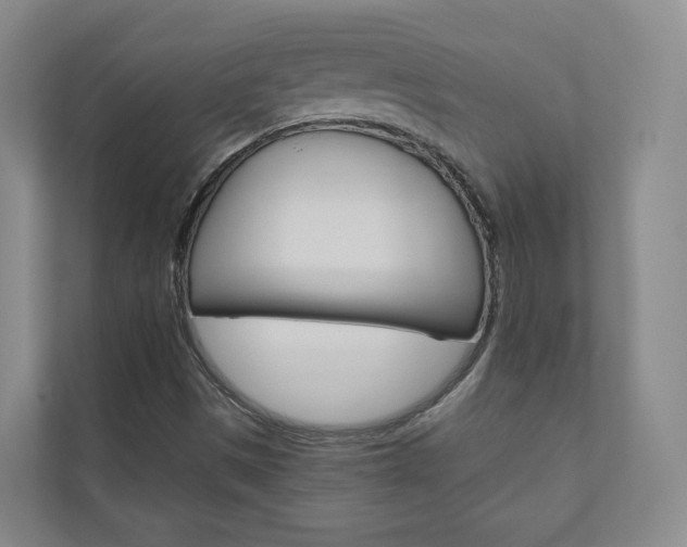 X0000110901497200906180935