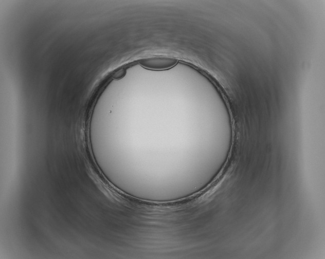 X0000110901499200906180935