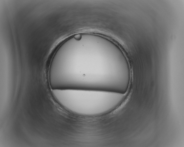 X0000110901501200906180935