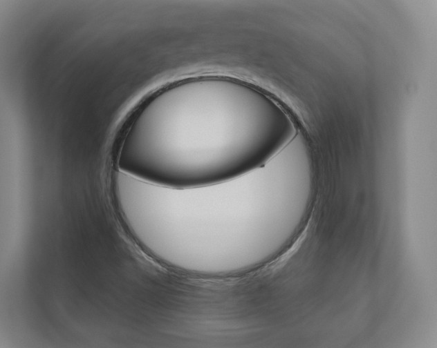 X0000110901502200906180935