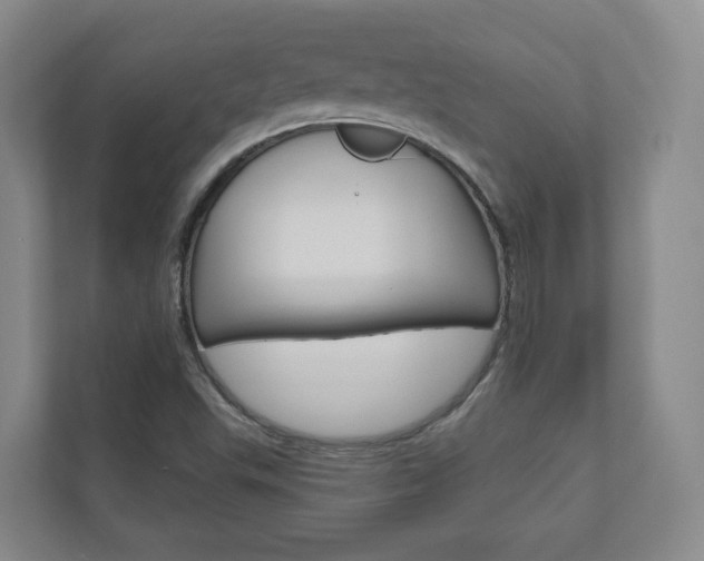 X0000110901503200906180935