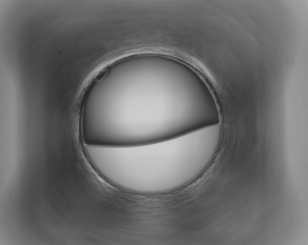 X0000110901504200906180935