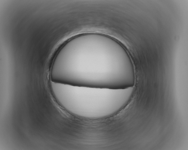 X0000110901507200906180935