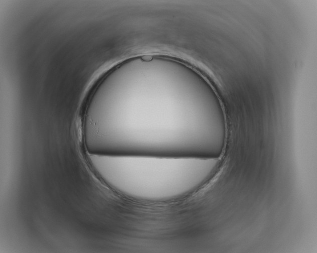 X0000110901509200906180935
