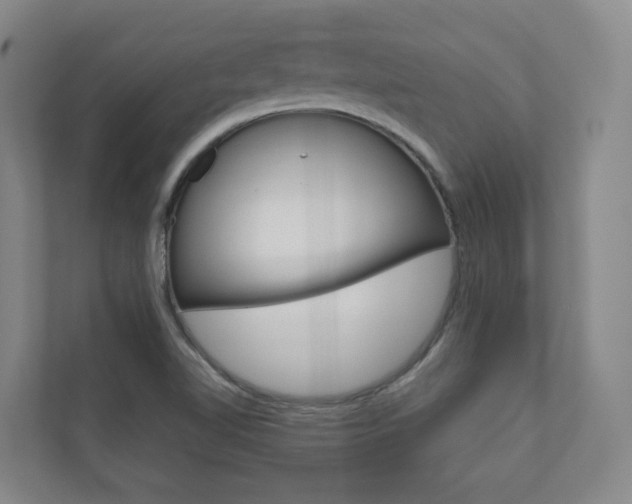 X0000110901510200906180935