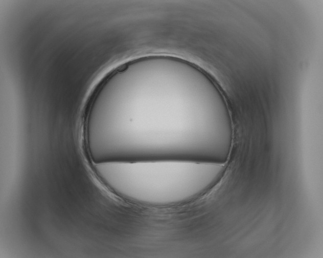 X0000110901511200906180935