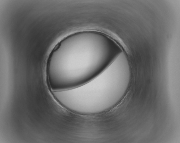 X0000110901512200906180935
