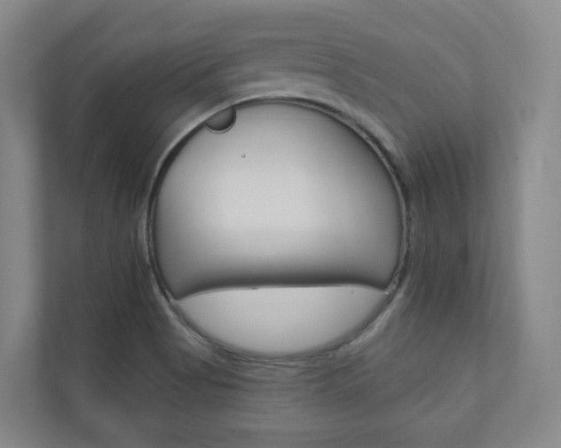 X0000110901513200906180935